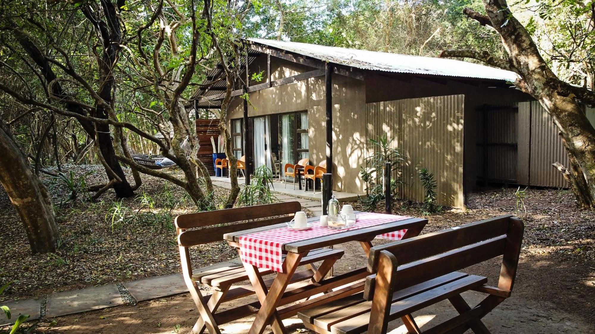 Lodge Emdoneni With Zululand Cat Conservation Project *